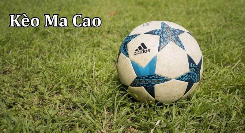 Giải mã tỷ lệ kèo ma cao là gì? Các hình thức kèo ma cao cần biết